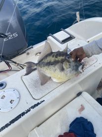 Question before you pay!