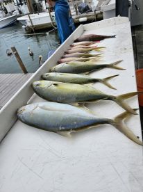 The captain was very friendly and knowledgeable. Took great care of us!