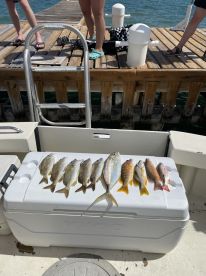 Family Friendly Fishing with Lots of Fish!