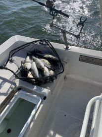 Great Trip with Blake and Finn