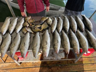 Finns Fishing Service