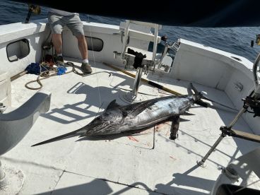 8 hours total. It was worth it.