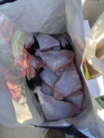 Great Fishing Trip with Roger