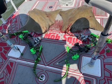 Amazing stingray bowfishing trip!