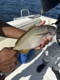 Best fishing trip ever! 