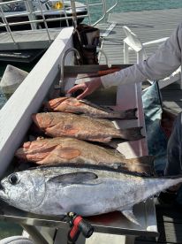 Expensive but overall a great experience