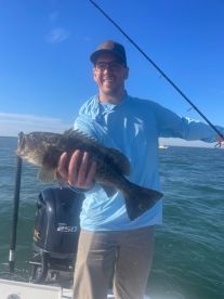 Tampa Bay Grouper