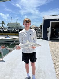 Fun for the entire family.