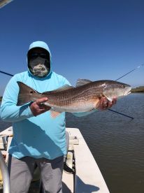 Full Day with Captain Andy