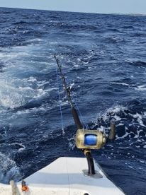 4 hours AM Fishing Trip