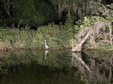 Most fun we’ve had on a charter