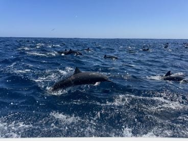 Great experience with Pepe’s! 