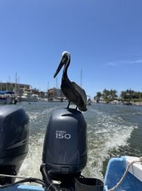 Great experience with Pepe’s! 