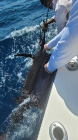 If you want to have a great day of fishing call papi culo 