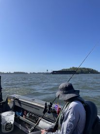 Fantastic Mothers Day