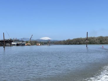 Fantastic Mothers Day