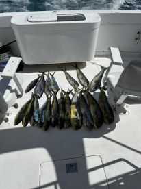 Full day fishing