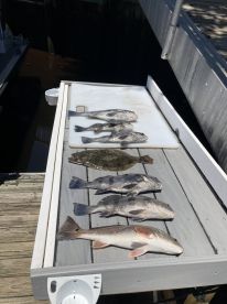 Captain Joe finds the fish!!