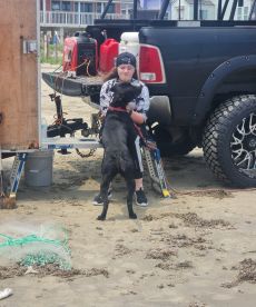 Best gulf charter we have done!