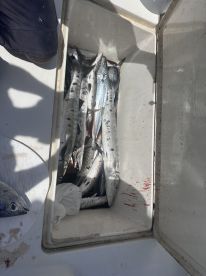 Full day of excitement 