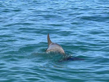 Best Fishing Trip Ever!