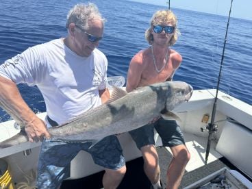 Exactly what we were hoping for 