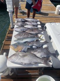 Best captain for a day at sea