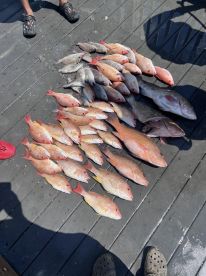 Always a good time with bottom line 