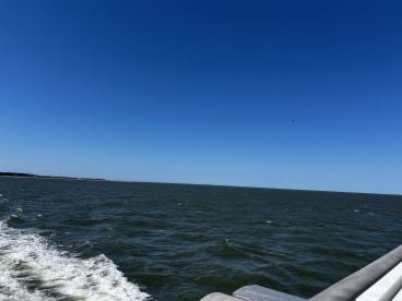 Fantastic fishing experience with Capt. Jeff