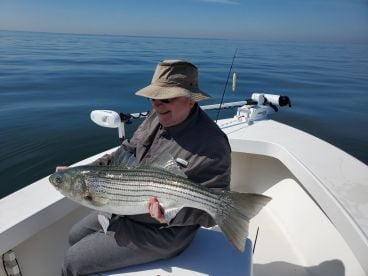 Huge fish everywhere!