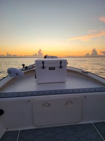 Great trip with caption Chris!