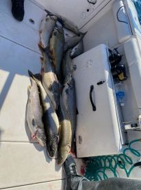 FANSTSTIC FISHING TRIP