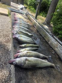 Excellent fishing trip!