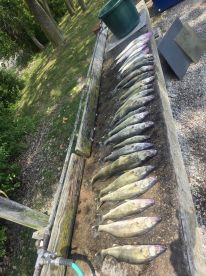 Excellent fishing trip!