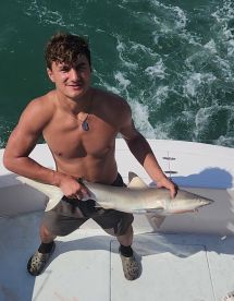 Snagged a shark