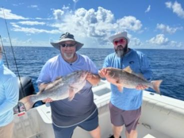 This is catching not fishing