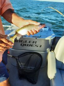 Capt Kevin was the best!