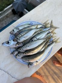 Отличная рыбалка