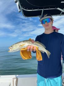 Cap'n Robert is awesome!  