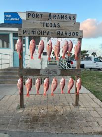 12 Trip with Captain Smith