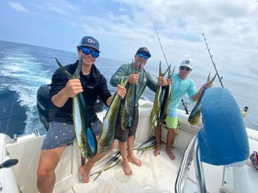 Good for catching skipjack and needlefish