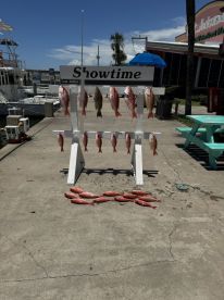 Amazing day on Showtime! 