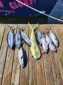 Same trolling spread as the big charter boats, same fishing, same locations, just smaller boat.   Recommended!