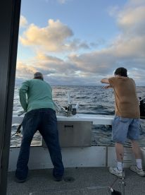 Super friendly Captain, great day out