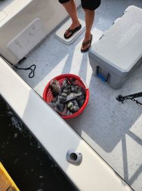 CAPTIAN JACKSON'S THE MAN.