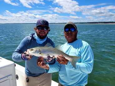 Great Capt.  Put on fish all day.