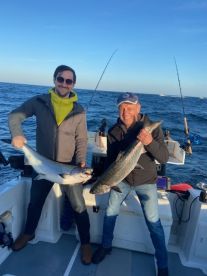 Excellent Experience