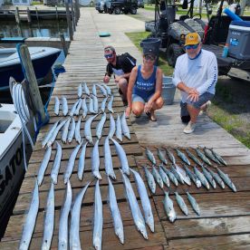 Plenty of action and fish to eat.