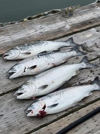 Great trip and great captain 