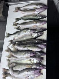 Great fishing trip. 